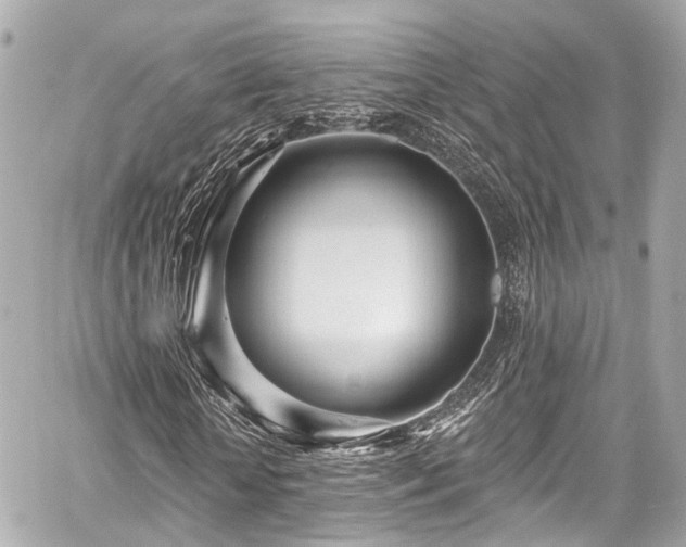 X0000059100818200510101216