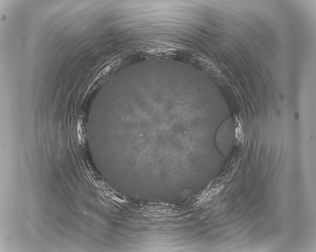 X0000059100819200510101216