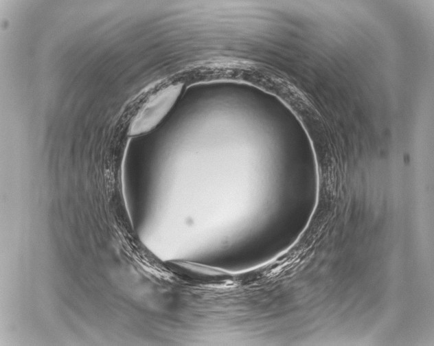 X0000059100821200510101216