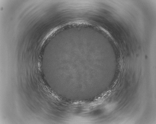 X0000059100823200510101216