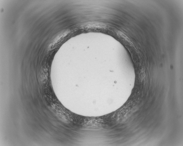 X0000059100824200510101216