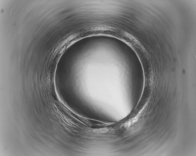 X0000059100825200510101216