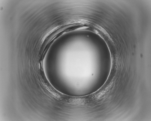 X0000059100826200510101216