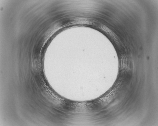 X0000059100828200510101216