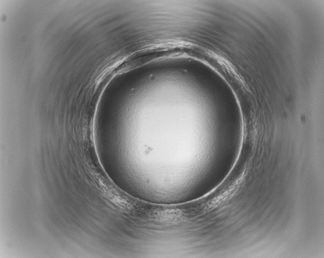 X0000059100833200510101216