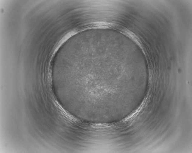 X0000059100835200510101216