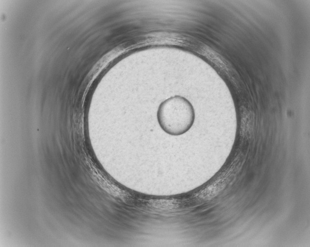 X0000059100836200510101216