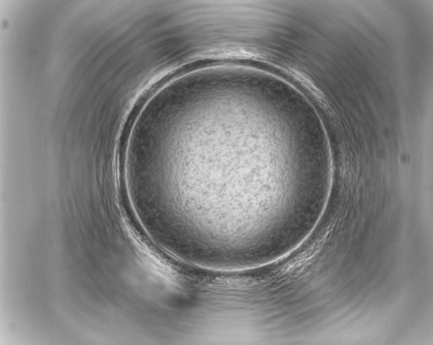 X0000059100840200510101216