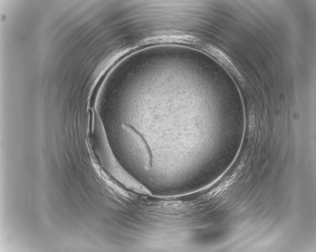 X0000059100844200510101216