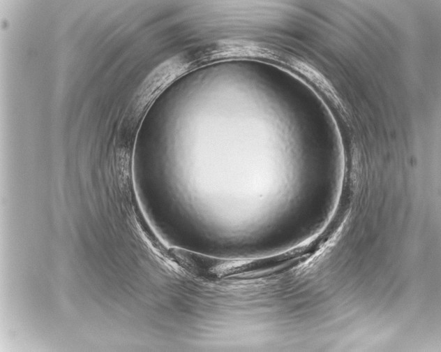 X0000059100849200510101216