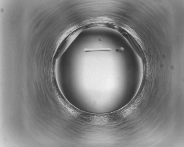 X0000059100850200510101216