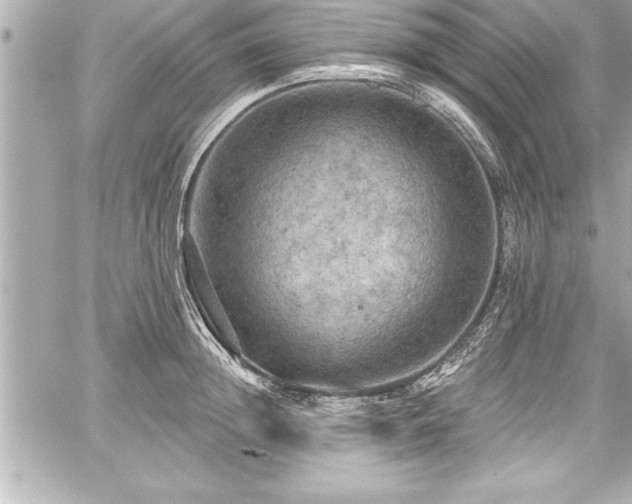 X0000059100852200510101216