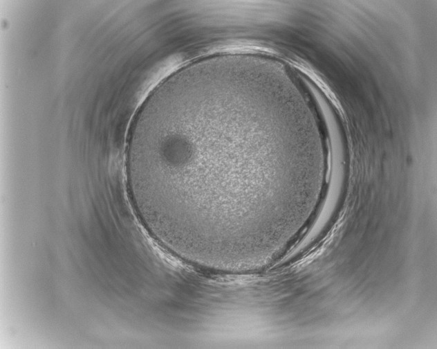 X0000059100853200510101216