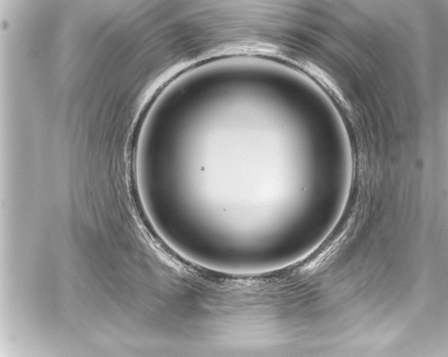 X0000059100854200510101216