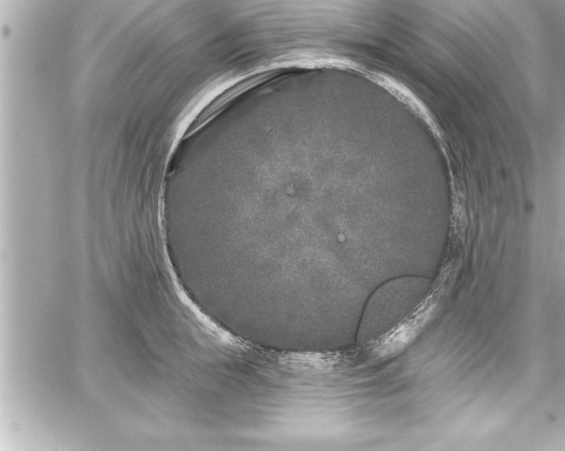 X0000059100855200510101216