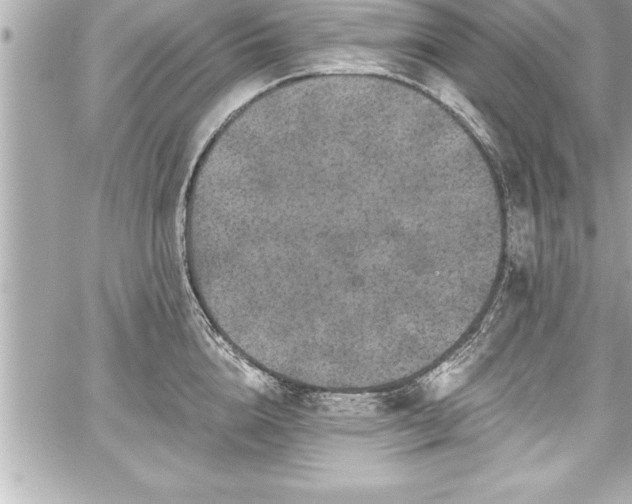 X0000059100856200510101216