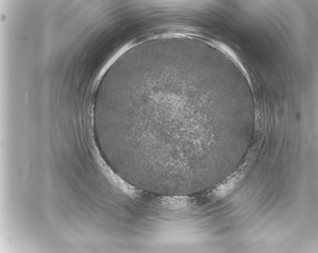 X0000059100859200510101216