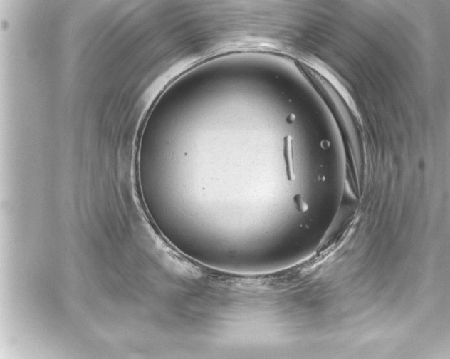 X0000059100861200510101217