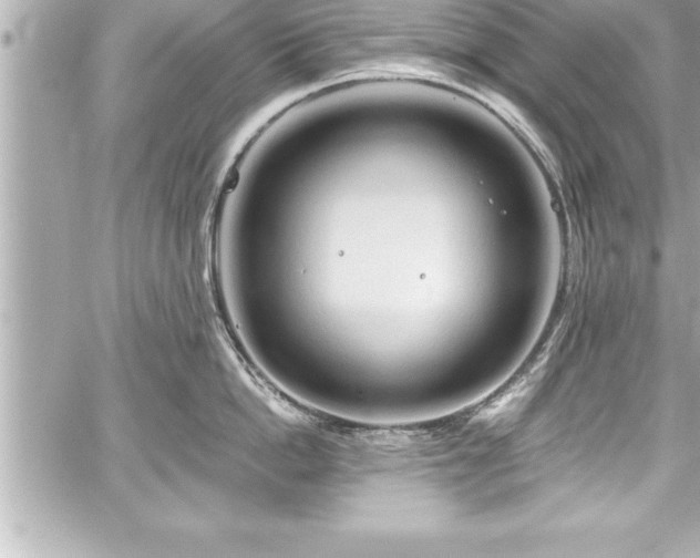 X0000059100862200510101217