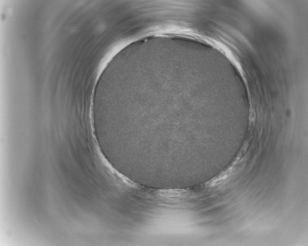 X0000059100863200510101217