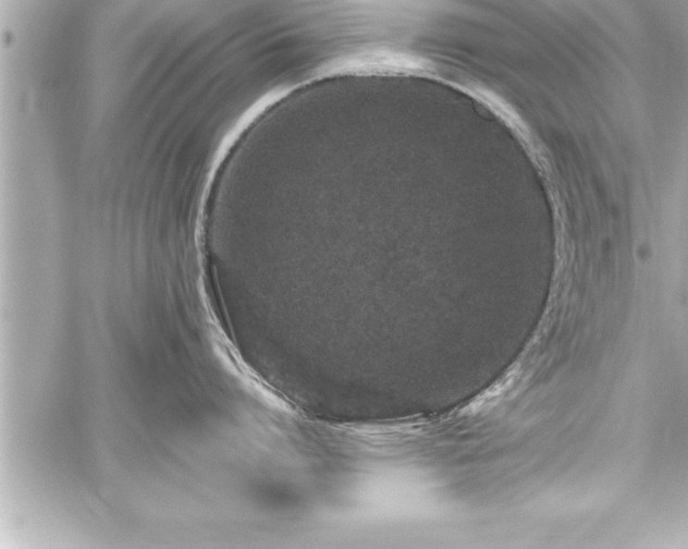 X0000059100864200510101217