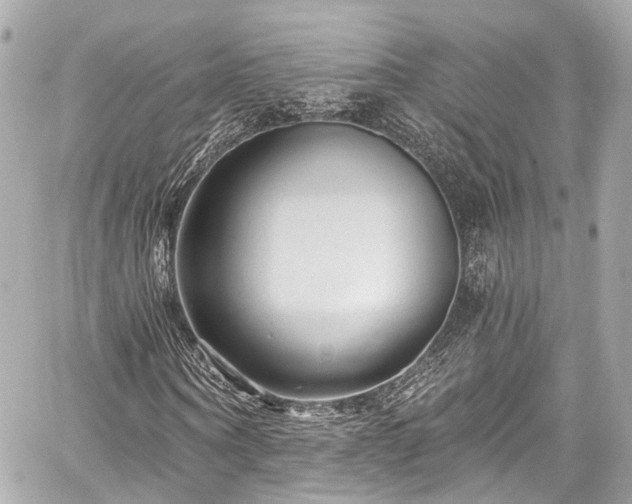 X0000059100866200510101216