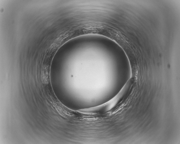 X0000059100868200510101216