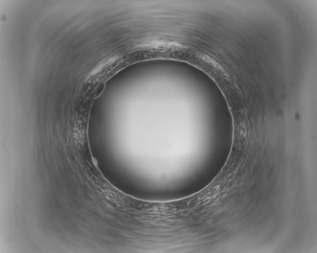 X0000059100869200510101216