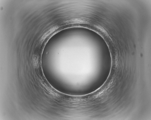 X0000059100873200510101216