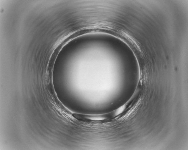 X0000059100876200510101216