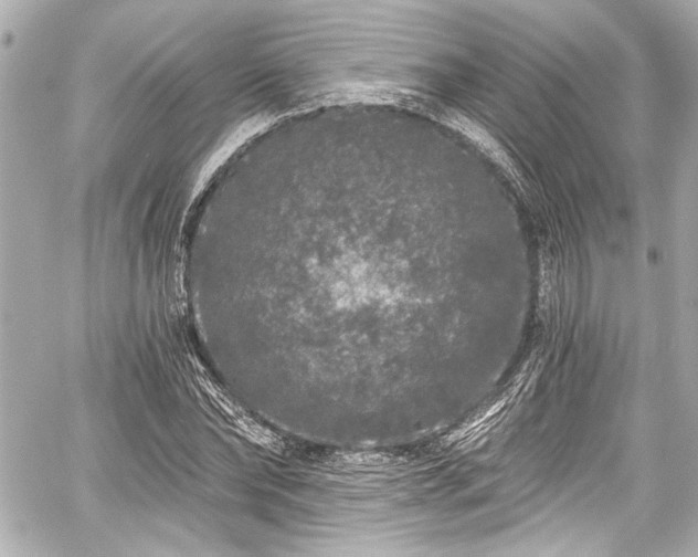 X0000059100878200510101216