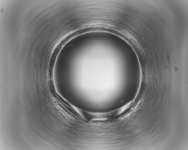 X0000059100880200510101216