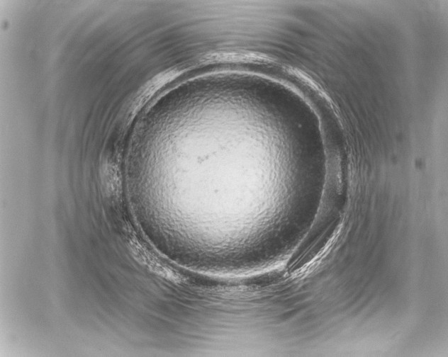 X0000059101025200510101213