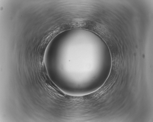 X0000059101058200510101213