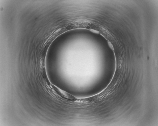 X0000059101108200510101211