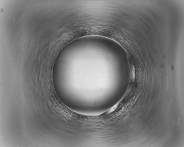 X0000059101153200510101211