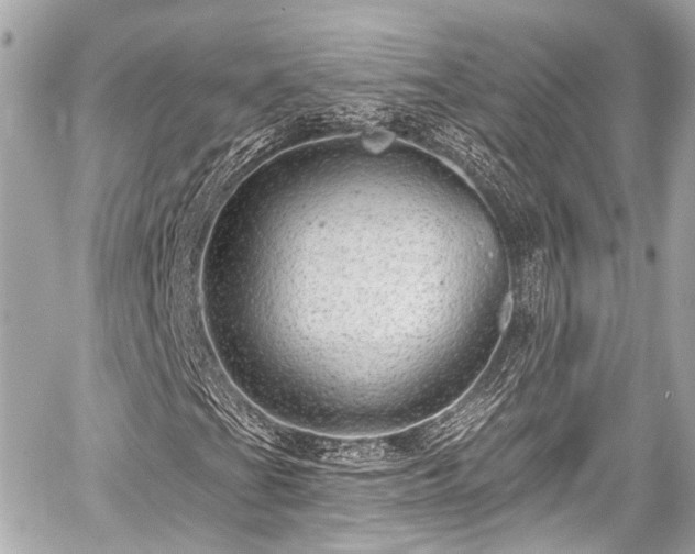 X0000059101201200510101209
