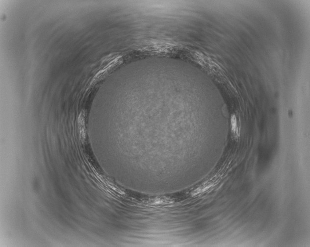 X0000059101203200510101209