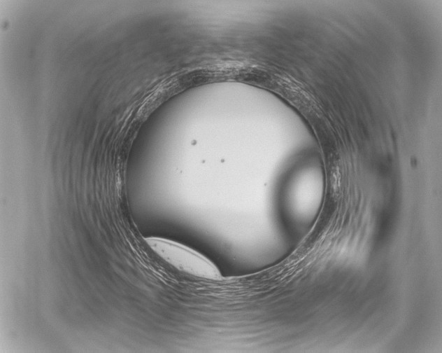 X0000059101204200510101209