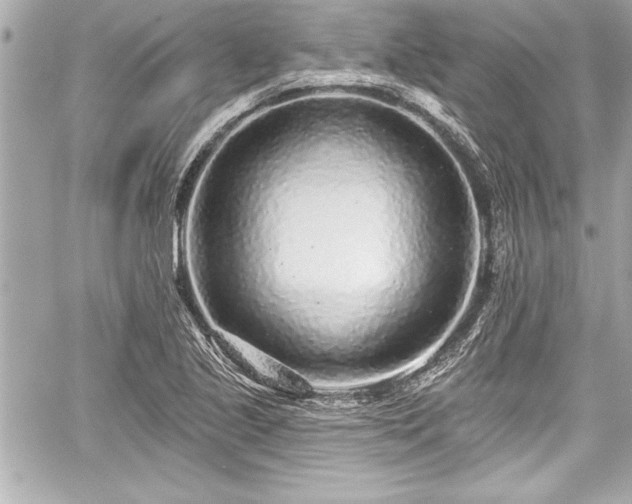 X0000059101221200510101210