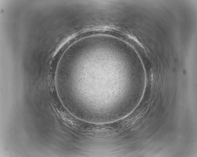 X0000059101256200510101209