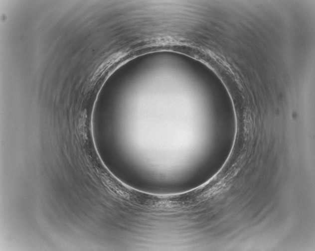 X0000059101265200510101209