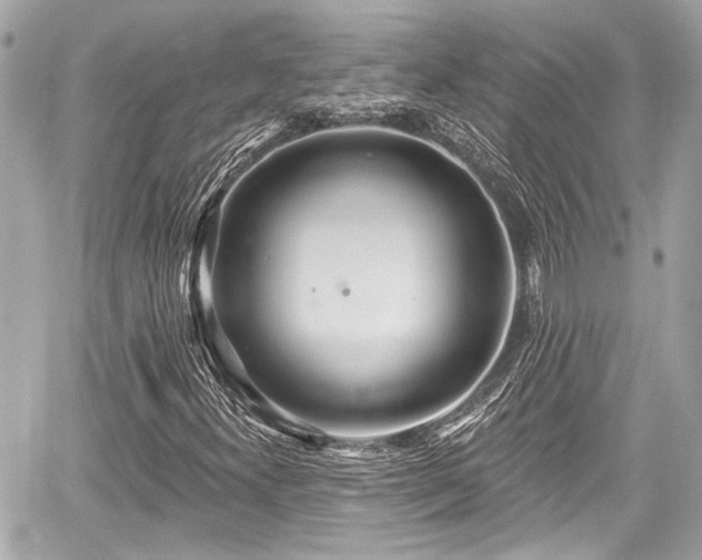 X0000059101300200510101208