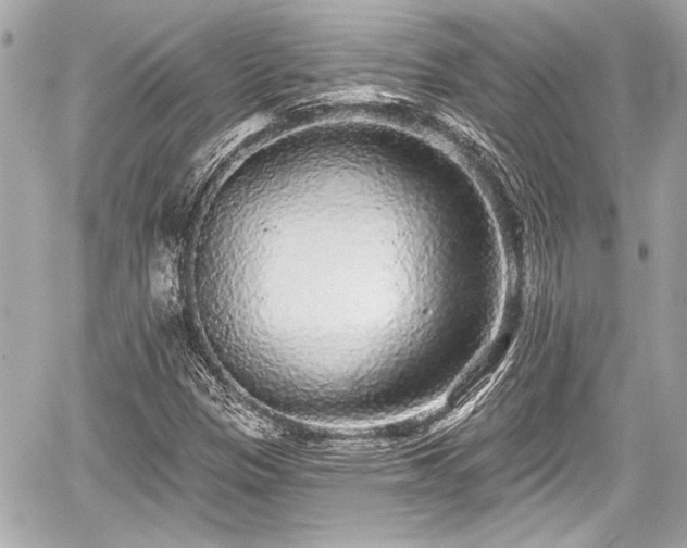 X0000059101305200510101208
