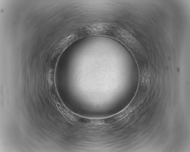 X0000059101346200510101208