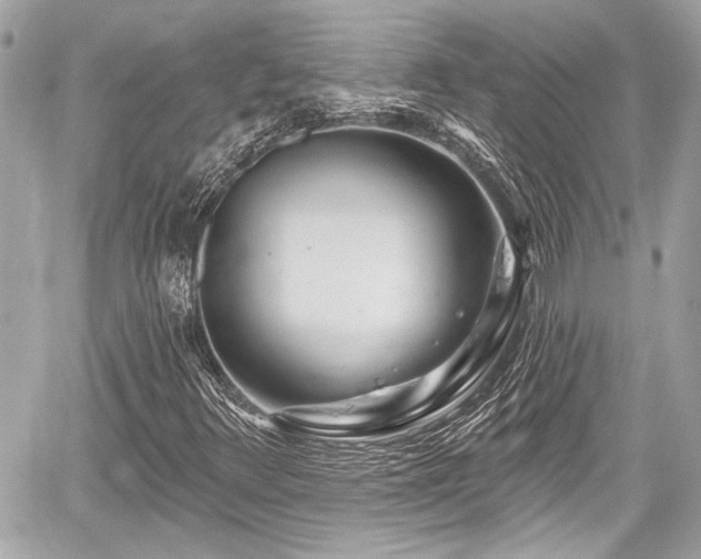 X0000059101348200510101208