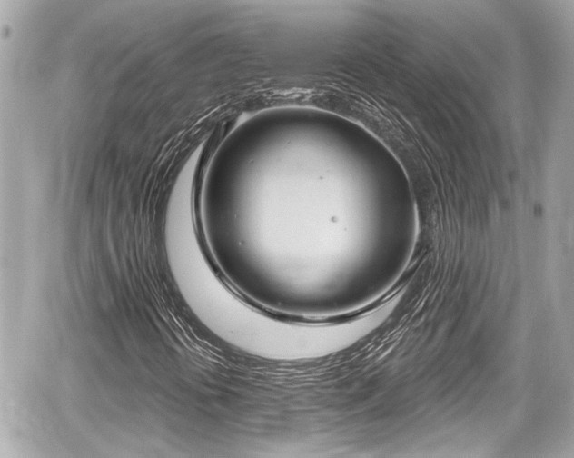 X0000059101394200510101206