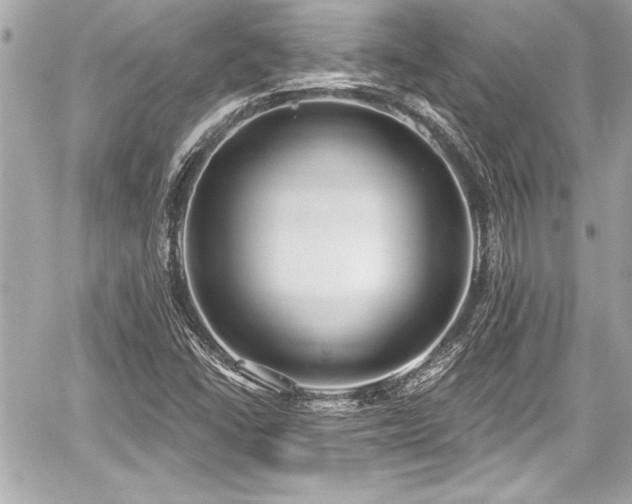 X0000059101406200510101206
