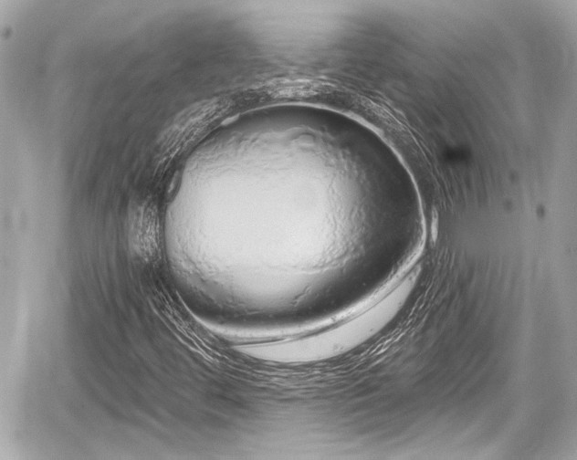 X0000059101444200510101206