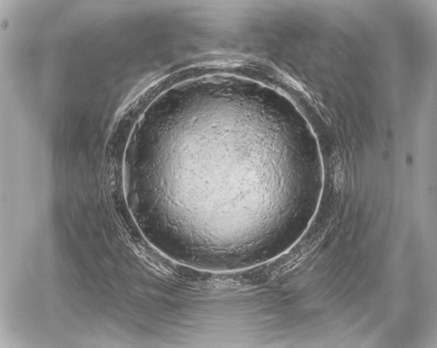 X0000059101448200510101206